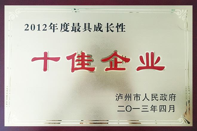 2012年度最具成長(zhǎng)性十佳企業(yè)