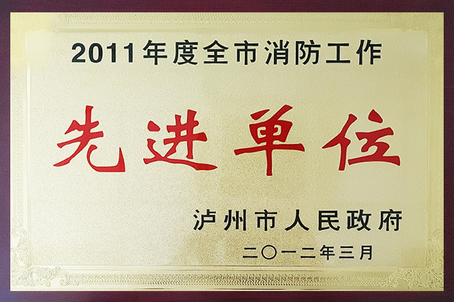 2011年度全市消防工作先進(jìn)單位